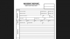 DDS Report Form