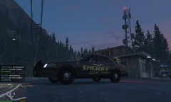 black and gold bcso skins