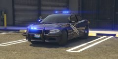 NHP 2016 Charger by LVMPDFAN