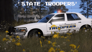 'State Troopers'