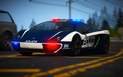 Blaine County Vacca PD