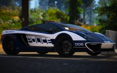 Blaine County Vacca PD