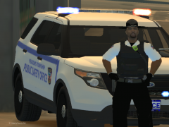 Liberty State Mega Pack - Meadows Township Public Safety Office