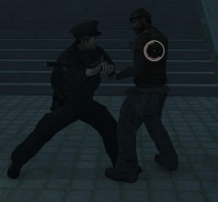 I used the police bat