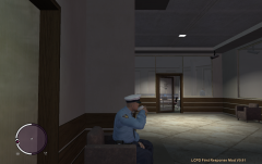 A nice day at the LCPD