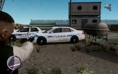 Peel Police - 2010 Impa;a