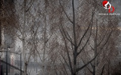 A REAL London winter