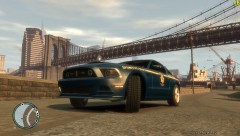 Mustang NHP