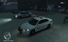 Harris County P 4 Assist Sheriff's Office