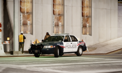 Early in the morning