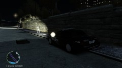 Inkster Police bust a prostitute.