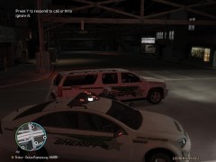 LIBERTY COUNTY SHERIFF