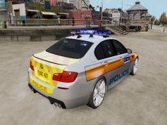 British Metropolitan Police Skin (Rear)