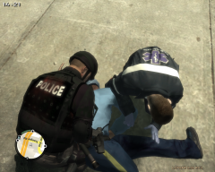 gtaiv 20130215 185327