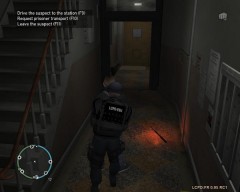 High Risk Domestic Despute