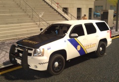 BC sheriff's service skin