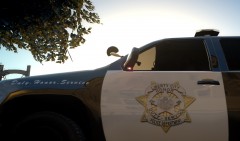 New Fictional LCPD Decal for black and white.