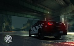 GTAIV  (9)