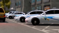 Liberty State Police