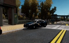 New Mexico State Police