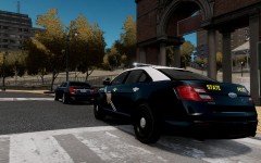 New Mexico State Police