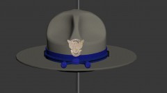 CHP Campaign Hat