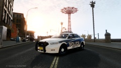 Liberty City Police