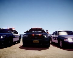 LCPD Goes Modern: 2013 Taurus