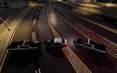 Police Roadblock