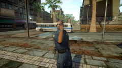 F5544 Improved Cop (9)