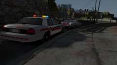 Alderney Police skin