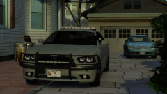 What's In Your Driveway?