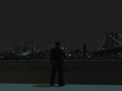 Brooklyn shining at night.