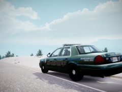 Liberty County Sheriff Crow Vic(Rear)