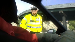 "You were driving like a dumb ass"