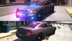 LCSO ICE Unit