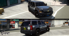 LCSO Traffic Enforcement Unit
