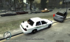Traffic Stop MVA