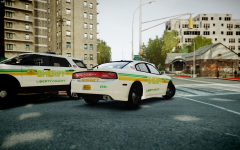 Liberty County Sheriff!