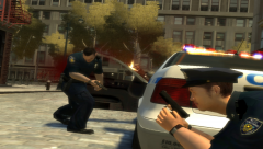 Traffic stop from hell