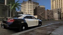 LAPD Valor FPI Back