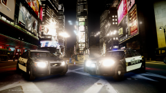 Liberty County Chevrolet Caprice's