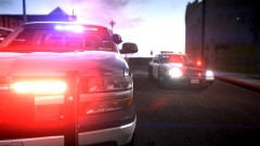 K-9 Tahoe and Cruiser