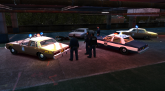 Pursuit Ends In Shootout