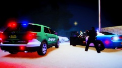 Stolen Vehicle/Warrants 2