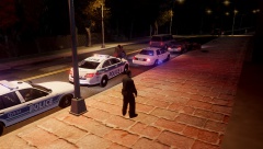 Ottawa Police Traffic Stop