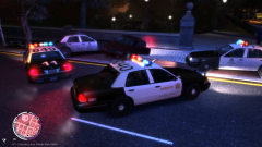 Aftermath of Pursuit