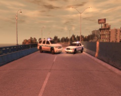 Chicago PD In liberty city