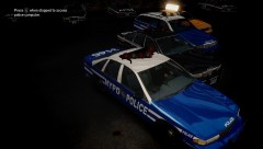 Caprice Fleet 2