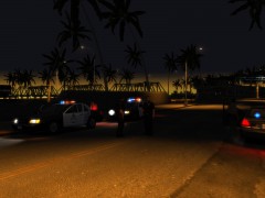 LAPD and LASD at the scene